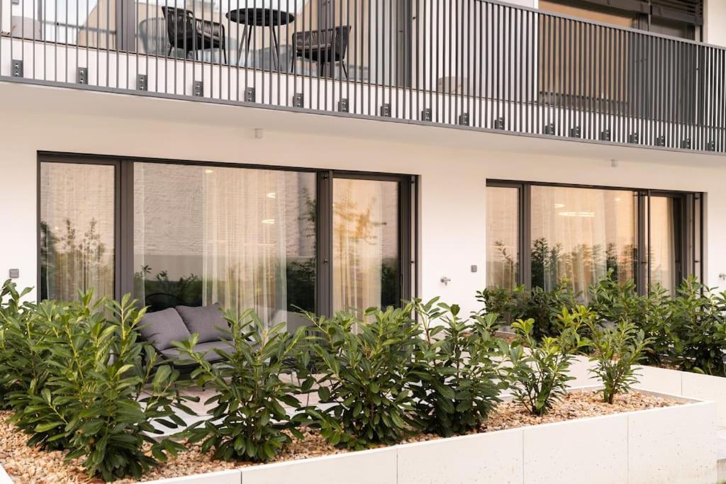 Green Garden Sauna Apartment ブルノ エクステリア 写真